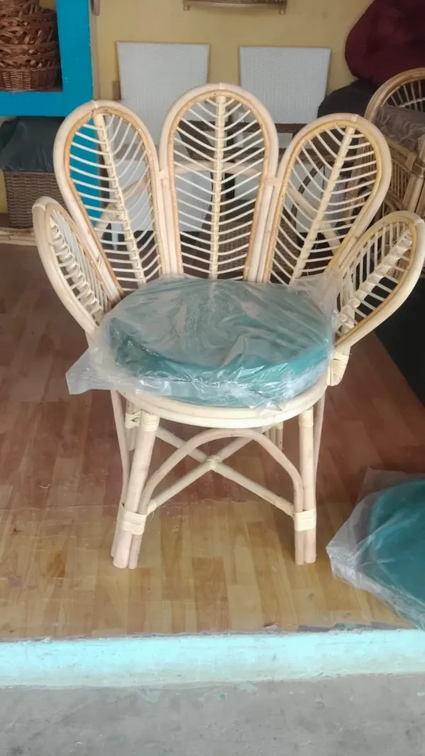 Cane Peacock Accent Chair with green cushion - SLK Cane Furniture